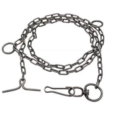 Lant Zincat pentru Caine, 6 mm x 2 m, Zilan