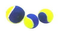 Paiatze Dog Minge Bicolor - s