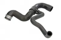 Conducta furtun sistem racire inferior Mercedes Clasa C T-MODEL (S203), C (W203) 2.6 3.0 3.2 intre 2002-2007