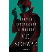 Partea intunecata a magiei (Trilogia CULORILE MAGIEI, partea I)