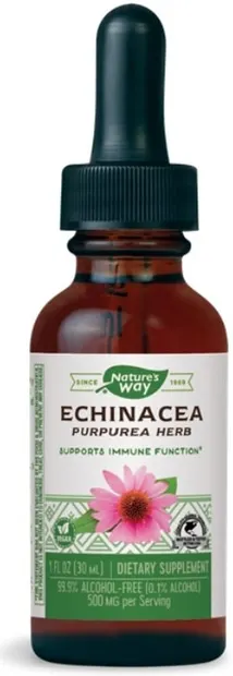 Echinacea Purpurea Herb, 500 mg, 30 ml, Nature's Way