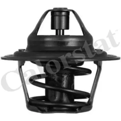 Termostat, lichid racire CALORSTAT by Vernet TH1410.87J