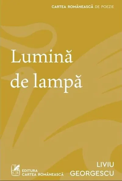 Lumină de lampă - Paperback brosat