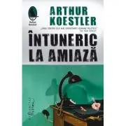 Intuneric la amiaza
