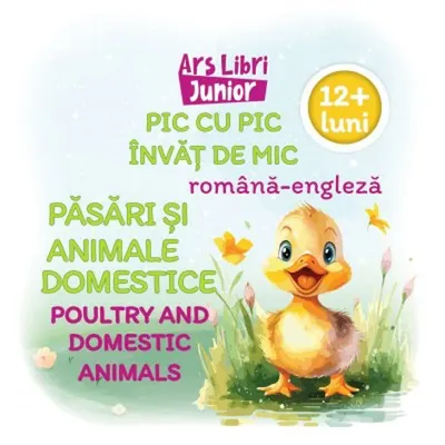 Pic cu pic învăț de mic
