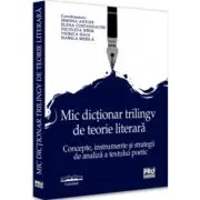 Mic dictionar trilingv de teorie literara. Concepte, instrumente si strategii de analiza a textului poetic