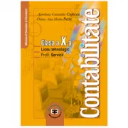 Contabilitate. Clasa a 10-a