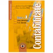 Contabilitate. Clasa a 10-a