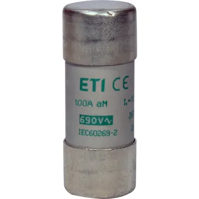 Siguranta CH22x58 aM 100A/500V 002652052