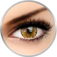 Lovely Eyes Baby Brown 30 de purtari 2 lentile/cutie