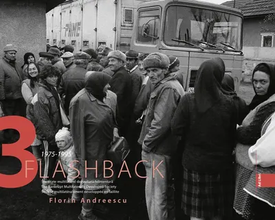 Flashback 3. Societate multilateral dezvoltată falimentară - Hardcover - Florin Andreescu