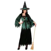 Costum vrajitoare verde
