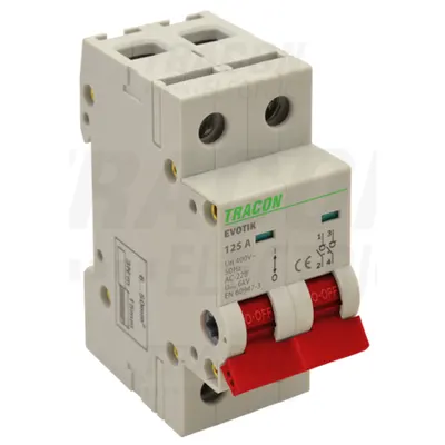 Intrerupator general TIK2-32 2P, 32A
