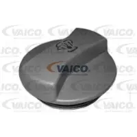 Buson, vas expansiune VAICO V10-0209