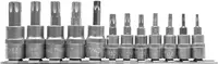Set Biti Torx 12 Buc
