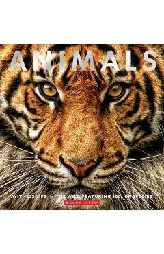 Animals: Witness Life in the Wild Featuring 100s of Species