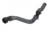 Furtun radiator superior (31mm 31mm) potrivit AUDI A3; SEAT LEON, TOLEDO II; SKODA OCTAVIA I; VW BORA, BORA I, GOLF IV 1.6 1.8 09.96-12.10