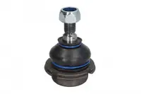 Pivot axa Dreapta Stanga (inferior fata) (diametru con 14,3mm, cu suplimente) potrivit CITROEN BX; PEUGEOT 305 II, 405 I, 405 II, 405 II KOMBI 1.1-2.0 10.82-05.97