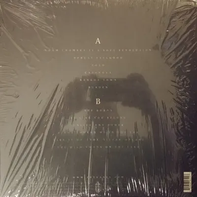 The Wild Swan - Vinyl