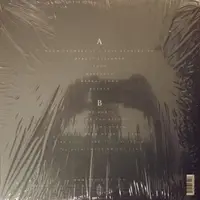 The Wild Swan - Vinyl