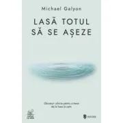 Lasa totul sa se aseze