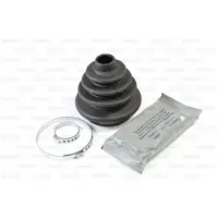 Ansamblu burduf, articulatie planetara PASCAL G5F003PC