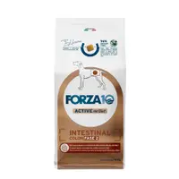 Forza 10 Intestinal Colon Fase 2 10 Kg