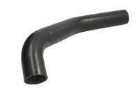 Furtun radiator (57mm) potrivit IVECO EUROTECH MP, STRALIS I F3AE0681B-F3AE3681D 11.99