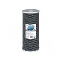 Cartus filtrant Carbune Activ BigBlue 10 FCCBL10BB