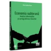 Economia subterana: analiza informatiilor si cartografierea riscurilor