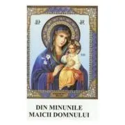 Din minunile Maicii Domnului