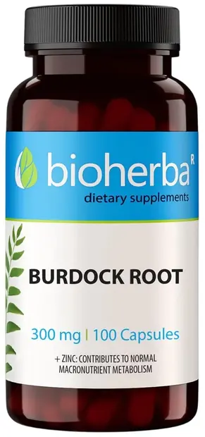 Burdock Root, 300 mg, 100 capsule, Bioherba