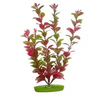 Marina Planta Red LUDW 12.5 cm PP519