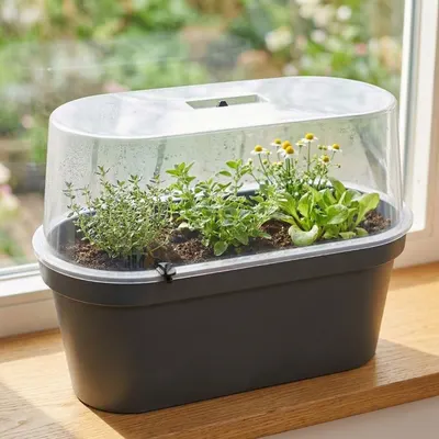 Mini Seră cu Jardinieră din plastic, 59x26x24,25 cm – Ideală pentru Răsaduri și Plante Aromatice