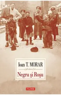 eBook Negru si rosu