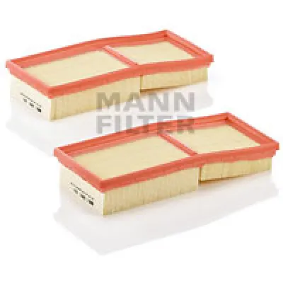 Filtru aer MANN-FILTER C 2861-2