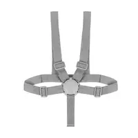 Scaun de masa Lionelo Dalia Gri 2 in 1 transformabil, cu 2 suporturi pentru picioare, tavita detasabila, sustine 60 kg, 6 luni+, conform cu EN14988