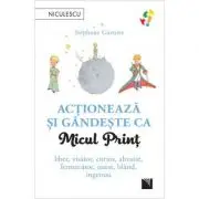 Actioneaza si gandeste ca Micul Print. Liber, visator, curios, altruist, fermecator, onest, bland, ingenuu