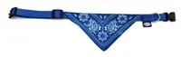 Zgarda nylon cu bandana, albastra, ajustabila, 35-50 cm x 1.9 cm