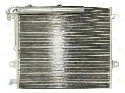 Radiator Clima Aer Conditionat MERCEDES-BENZ R-CLASS (W251, V251) THERMOTEC KTT110306