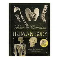 Bone Collection: Human Body