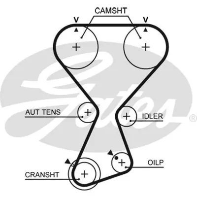 Curea de distributie GATES T313