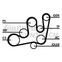 Set curea transmisie cu caneluri CONTITECH 6PK1642D2