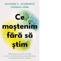 Ce mostenim fara sa stim. Eliberarea de poverile invizibile si cum ne vindecam de traumele individuale, transgenerationale si colective