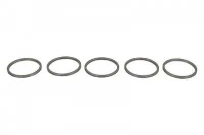Saiba DENSO pret pt 5 buc (diametru interior 21,5mm, diametru exterior 24,3mm, grosime 1,53mm)