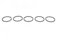 Saiba DENSO pret pt 5 buc (diametru interior 21,5mm, diametru exterior 24,3mm, grosime 1,53mm)