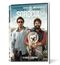 Sorocul