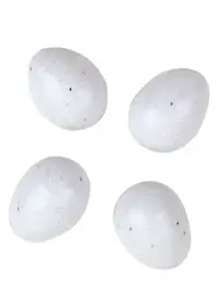 Ferplast Jucarie Oua Plastic FPI 4310