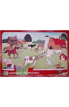Set cu planse: Sa cunoastem lumea inconjuratoare