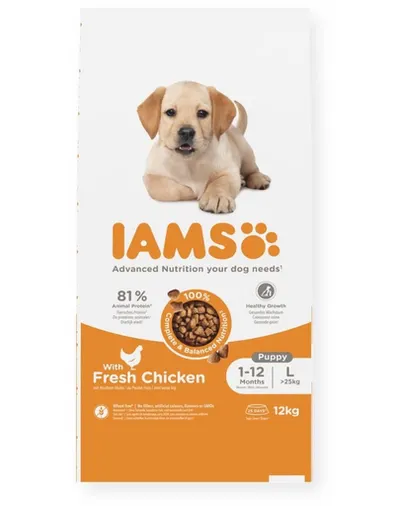IAMS Advanced Nutrition Puppy Junior Large Breed Chicken 12 kg hrana catei talie mare